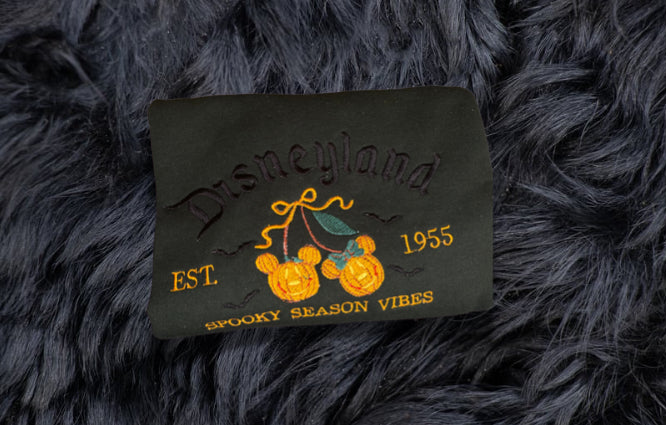 Pumpkin Disney Season